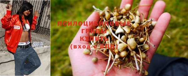 наркотики Алзамай