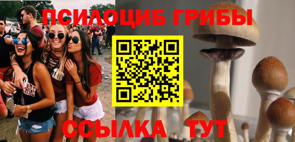 Псилоцибиновые грибы Psilocybine cubensis Беслан