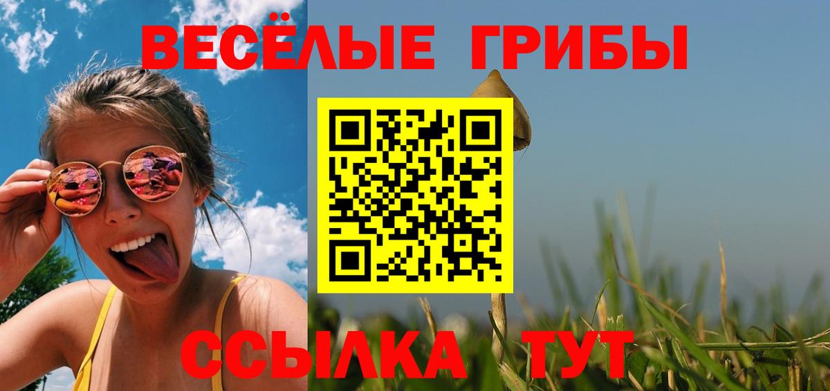 цены наркотик  Псилоцибиновые грибы MAGIC MUSHROOMS  Вход с VPN  Беслан  Псилоцибиновые грибы GOLDEN TEACHER 
